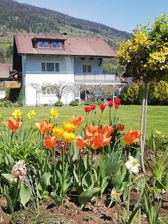 Pension Strauss Sankt Lorenzen ob Murau Exterior foto